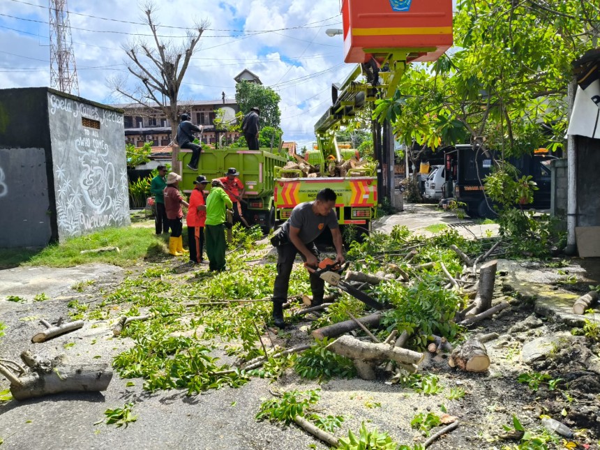 PENANGANAN POHON TUMBANG JL. DEWI MADRI 2