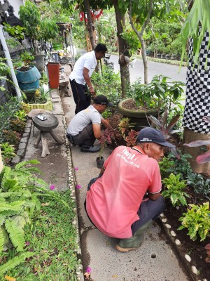 08.09.26 PERAWATAN TAMAN TELAJAKAN DESA SUMERTA KELOD