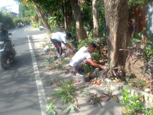 10.09.26 JUMALI DAN PERBEKEL DESA SUMERTA KELOD MELAKSANAKAN PENATAAN TAMAN TELAJAKAN DESA SUMERTA KELOD