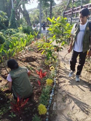 12.09.26 PERAWATAN TAMAN TELAJAKAN  KKN UNIVERSITAS NGURAH RAI BERSAMA PEBEKEL DESA SUMERTA KELOD