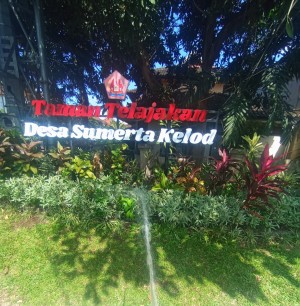 15.09.26 PERAWATAN TAMAN TELAJAKAN OLEH JUMALI DESA SUMERTA KELOD