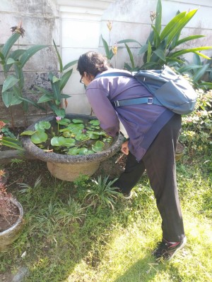 18.08.26 KEGIATAN GERTAK DBD DAN PSN DUSUN SEMBUNG SARI