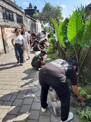 25.07.26 PENATAAN TAMAN TELAJAKAN DI KAMPUNG HIJAU DI GANG SD 9 SUMERTA DESA SUMERTA KELOD