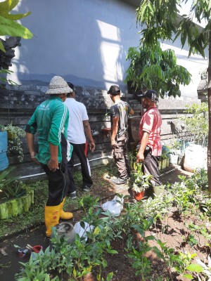 29.07.26 PENATAAN TAMAN TELAJAKAN OLEH JUMALI DESA SUMERTA KELOD