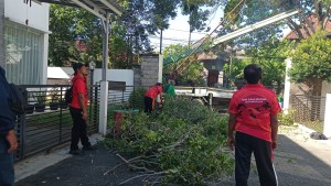 PEROMPESAN POHON PATAH OLEH TAGANA DESA SUMERTA KELOD DI JALAN CIUNG WANARA II, PERUMAHAN SEKAR RESIDENCE